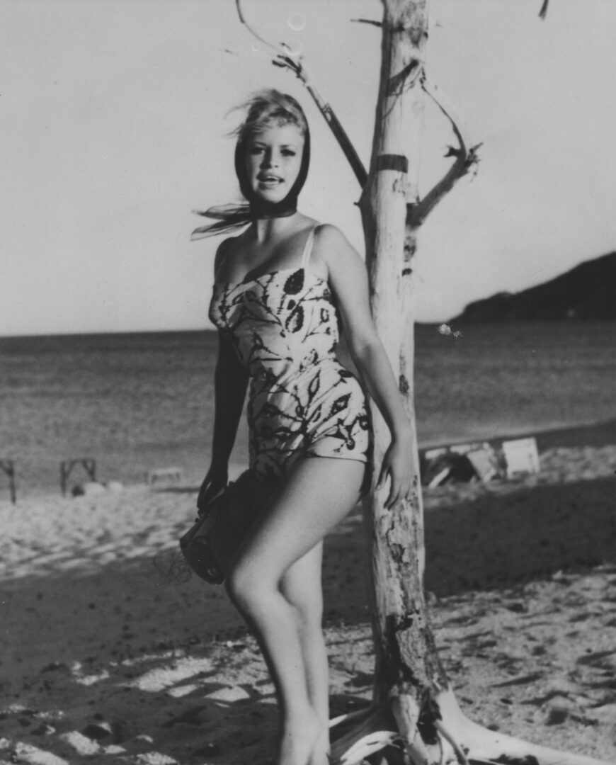 Galerie de médias – Slider