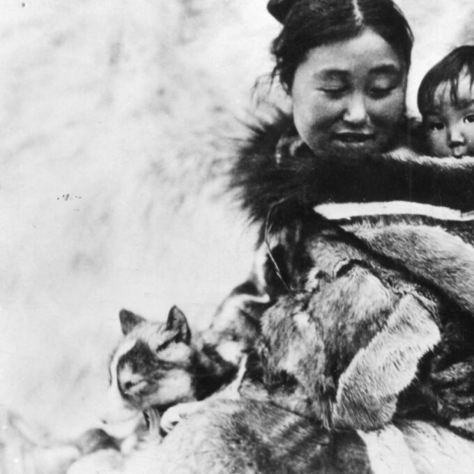 Zone texte & image : demi-page