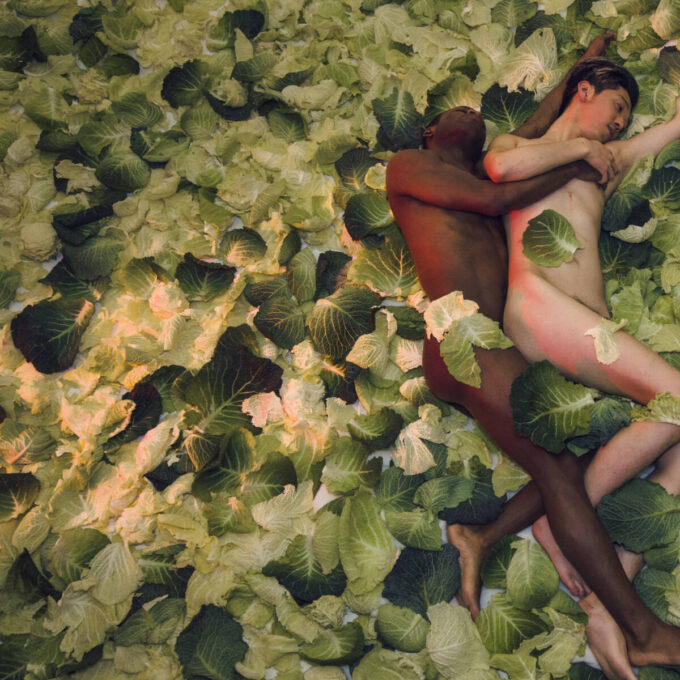  Galerie de médias – Mosaïque 